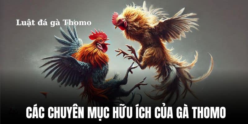 Các chuyên mục và dịch vụ hữu ích của Gà Thomo