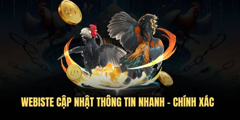 Gà Thomo cập nhật thông tin nhanh gọn chuẩn xác