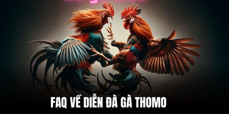 FAQ về diễn đàn Gà Thomo và câu trả lời cụ thể