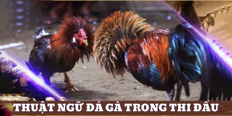 Thuật ngữ trong quá trình thi đấu