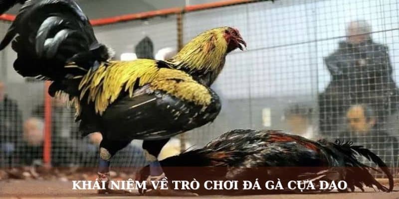 Khái niệm về trò chơi đá gà cựa dao