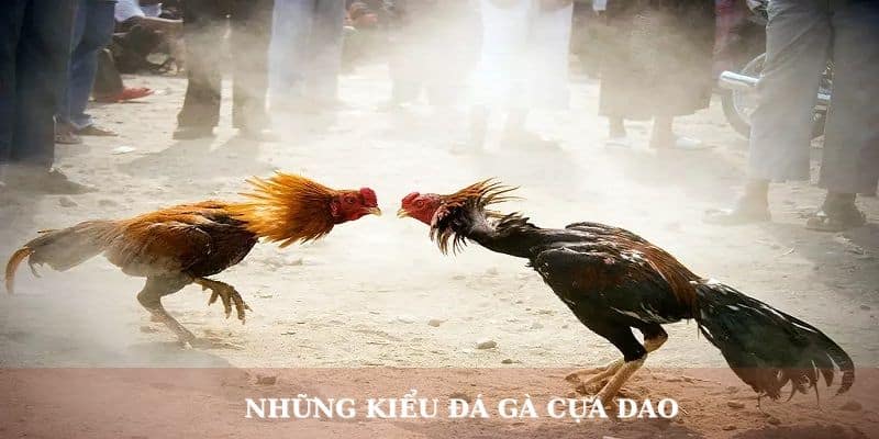 Những kiểu chơi đá gà cựa dao